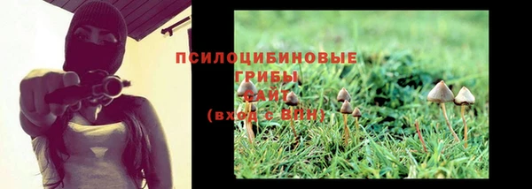 тгк Алексин