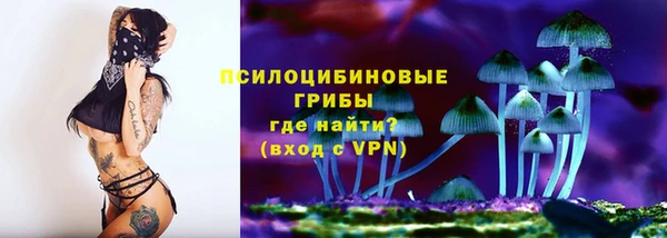 тгк Алексин