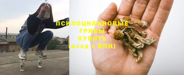 сатива Алексеевка