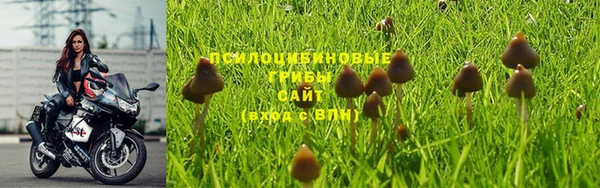 сатива Алексеевка